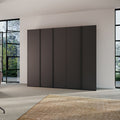 Oakwood Rauch Skat Meridian 5 Hinged Door Wardrobe  Matt Finish