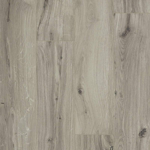 Oakwood Berry Alloc Ocean 8 V4 Laminate Flooring Gyant Light Grey