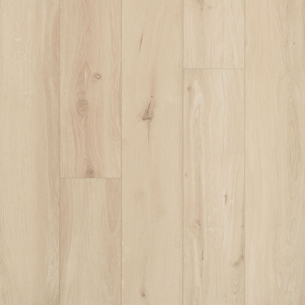 Oakwood Berry Alloc Ocean 8 V4 Laminate Flooring Gyant Light Sand