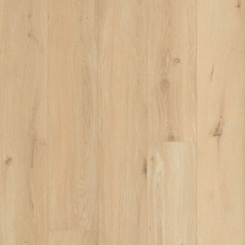 Oakwood Berry Alloc Ocean 8 V4 Laminate Flooring Gyant Sand Natural
